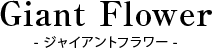 ジャイアントフラワー